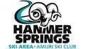 Hanmer Springs Ski Area Coupons