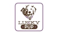 Lucky Pup in Erie Coupons