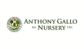 Anthony Gallo Nursery Coupons